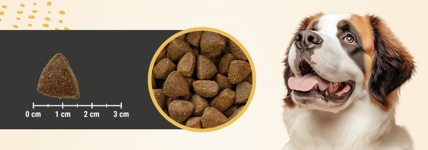 BIOFEED Euphoria Fresh Adult Medium & Large Pork with beef - trockenfutter für Hunde - 12kg - foto 3