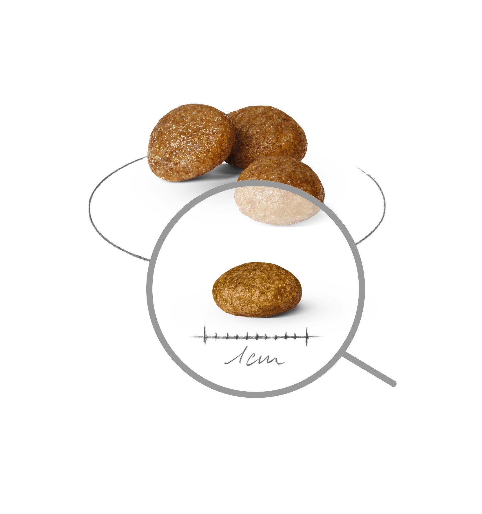 ROYAL CANIN Adult x- small SHN - trockenfutter für Hunde - 3kg - foto 1
