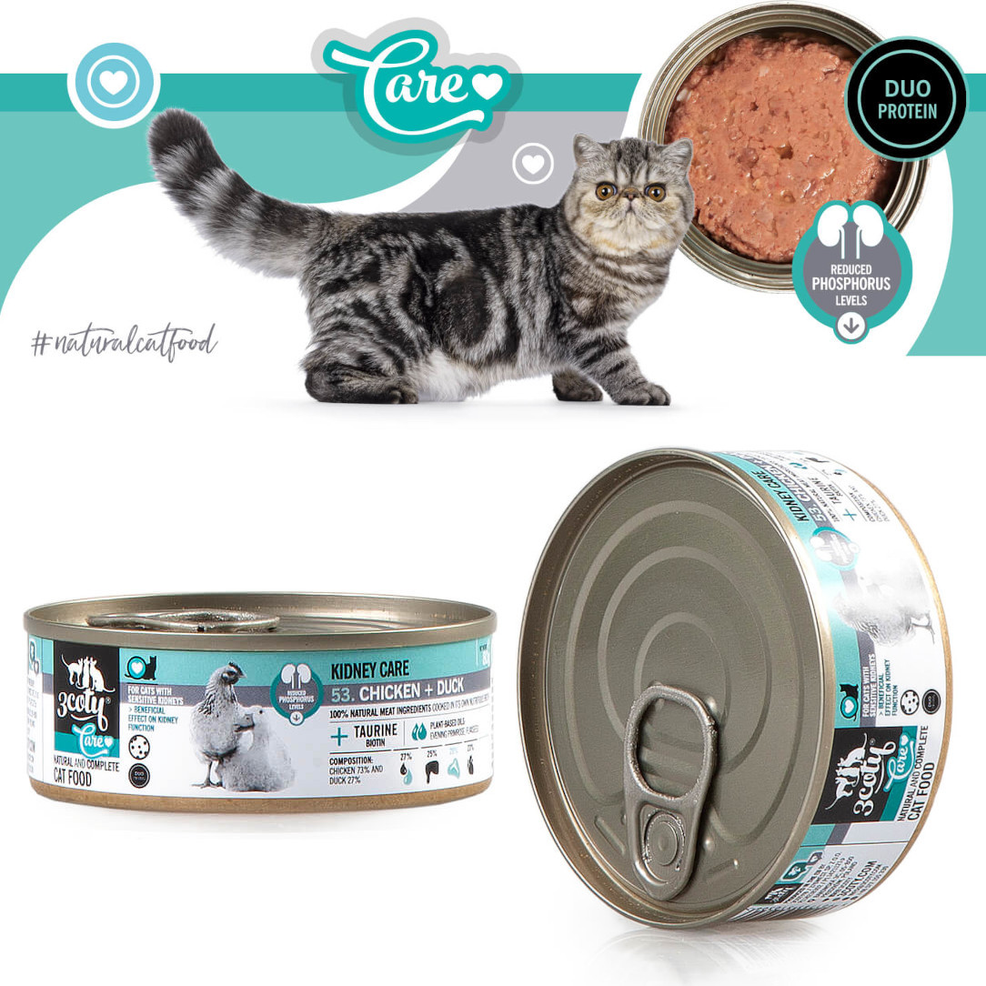3COTY Chicken with duck Kidney care - nassfutter für Katzen - 24x80g - foto 5