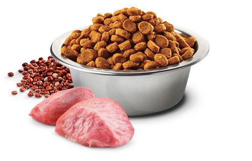 FARMINA N&D N&D Quinoa Digestion Lamb Mini Adult - Trockenfutter für Hunde - 800g - foto 3