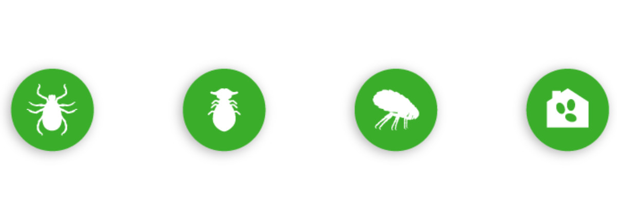 FRONTLINE Spot- on Combo M Parasitentropfen für Hunde 10 - 20 kg, 3 x 1,34 ml - foto 5