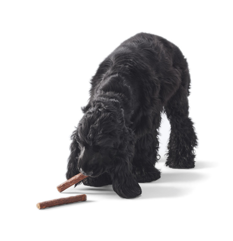 JOHN DOG Boar sticks - Hundeleckerli - 50 g - foto 3