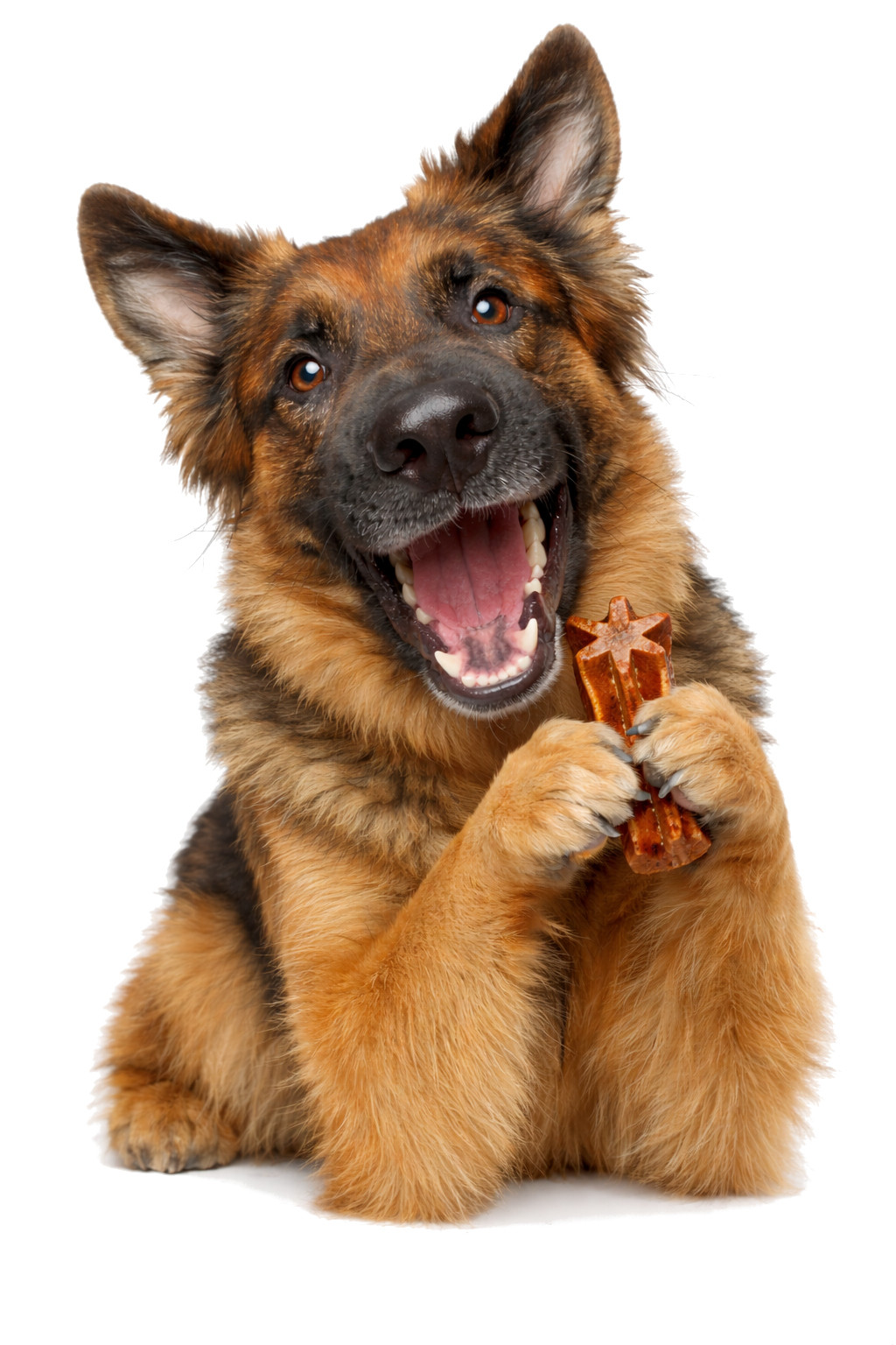 JOSERA Denties Duck with carrot - Hundeleckerli - 180g - foto 4