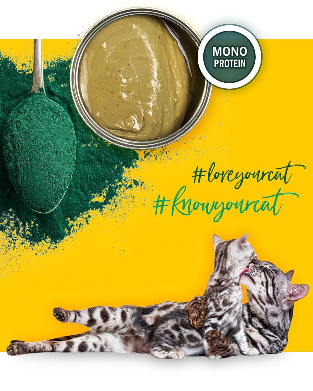3COTY Chicken with spirulina For kittens and nursing cats - nassfutter für Katzen - 80g - foto 5