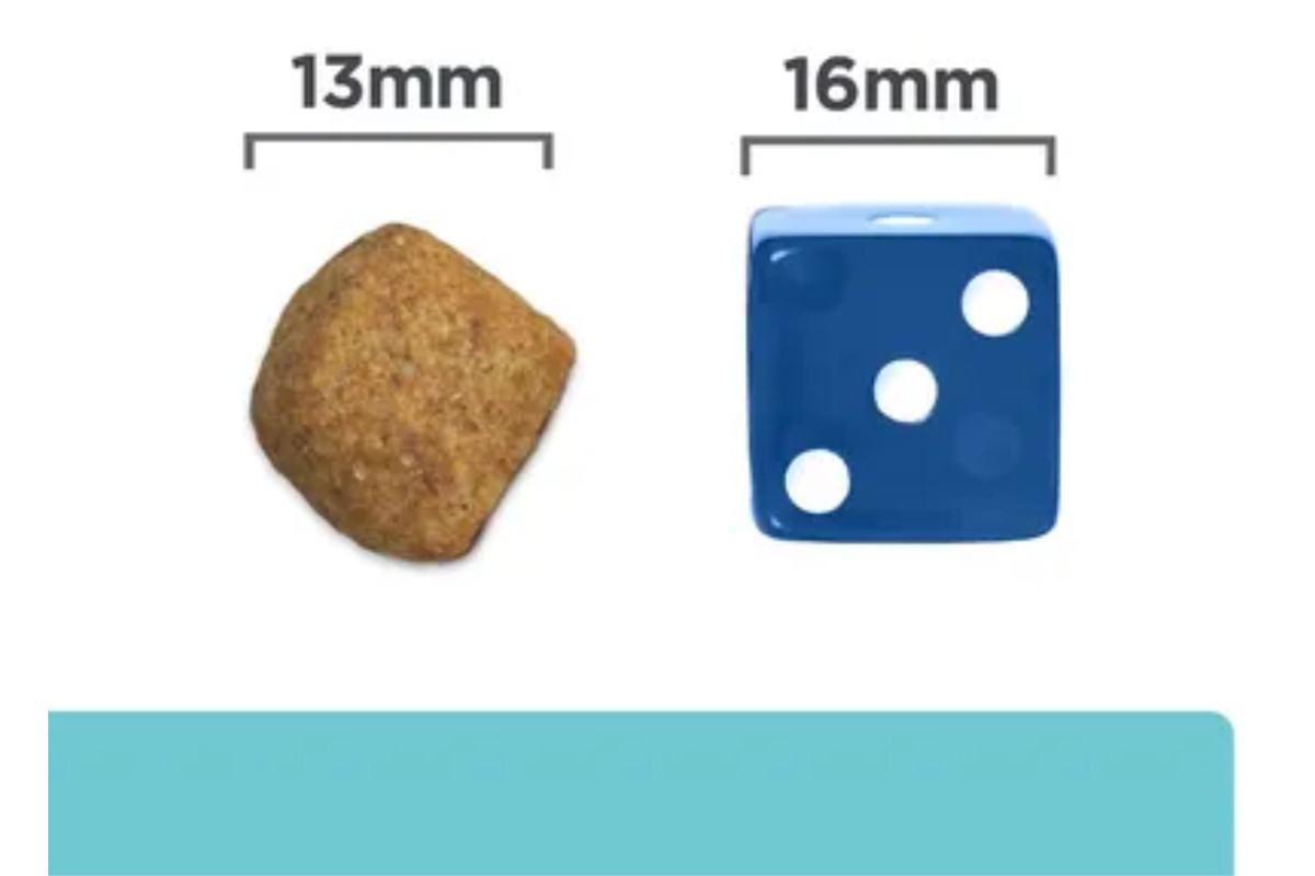 HILL'S PRESCRIPTION DIET Feline t/d Katzentrockenfutter Huhn 1,5 kg - foto 3