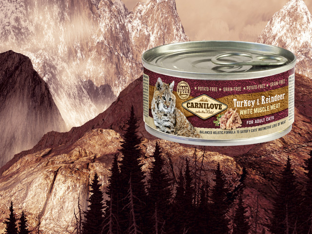 CARNILOVE Cat Truthahn & Rentier Weißes Muskelfleisch – Nassfutter für Katzen – 100 g - foto 1