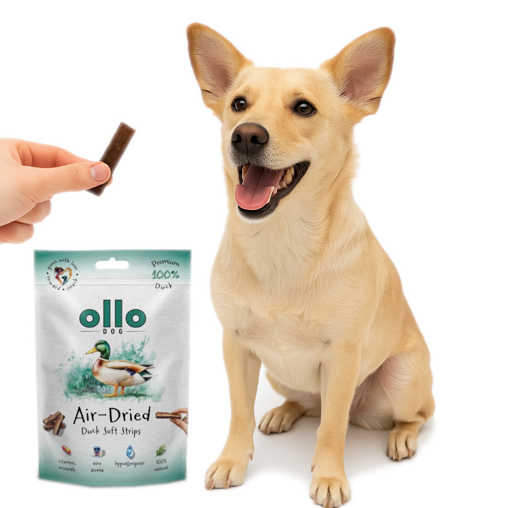 OLLO Air-Dried Duck strips - leckerli für hunde - 80g - foto 4