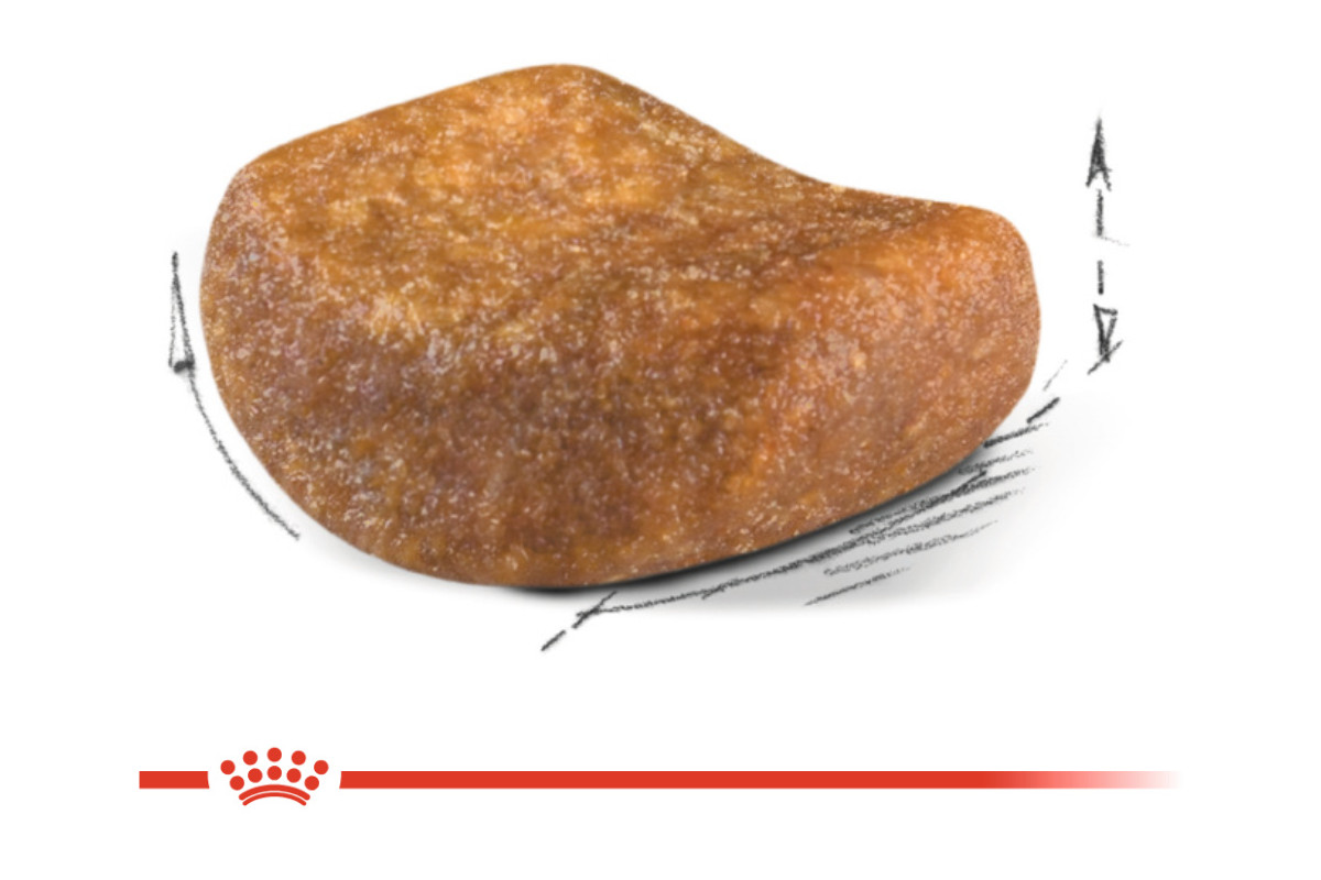 Royal Canin British Shorthair Adult Katzen-Trockenfutter 4 kg - foto 2