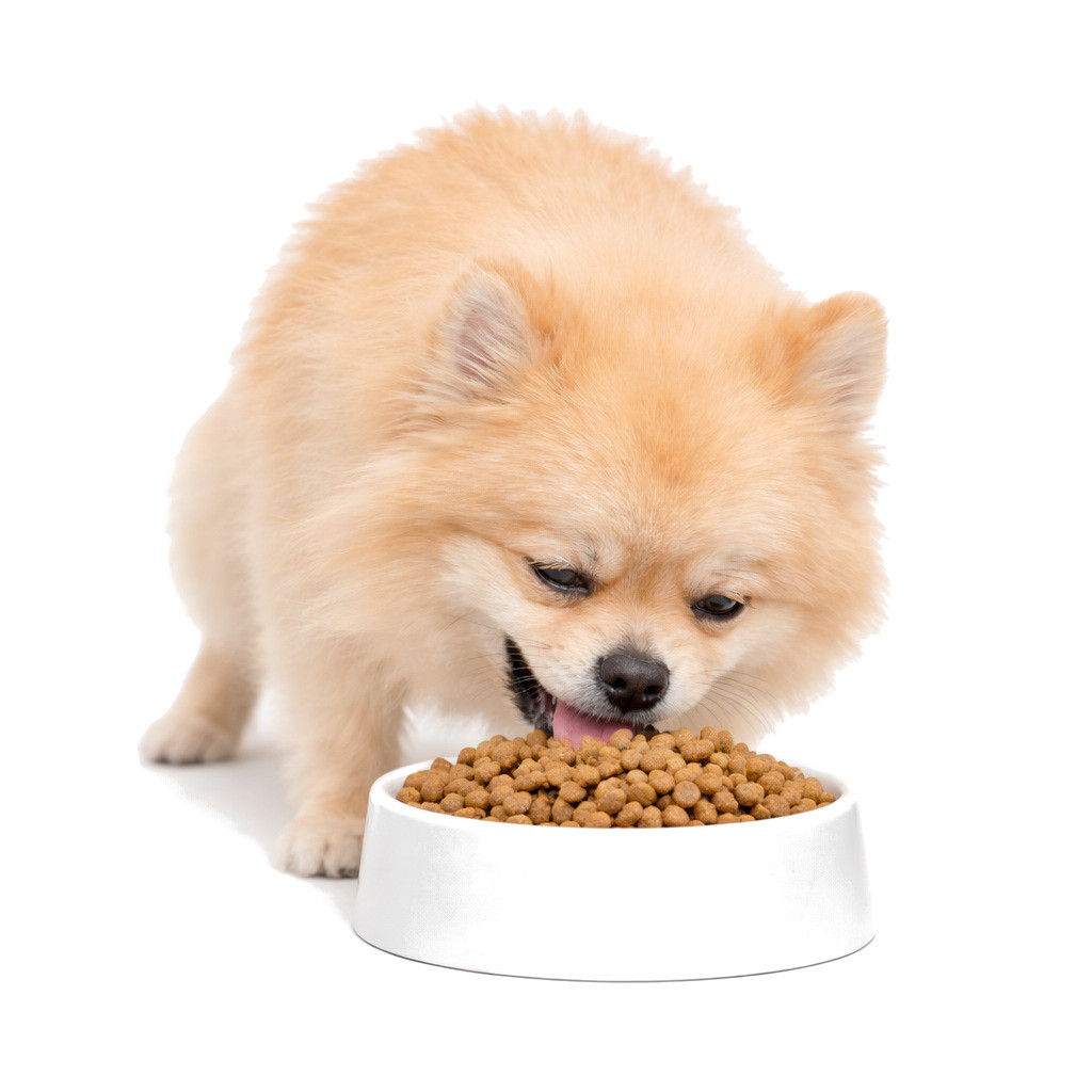 JOHN DOG Good Form Adult Mini Veal with lamb - Trockenfutter für Hunde - 12 kg - foto 4