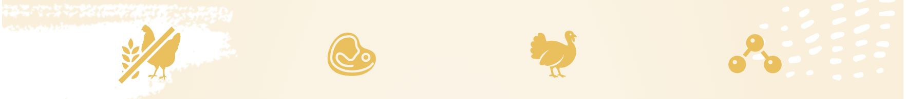 EUPHORIA Fresh Adult Turkey with lamb XS/S - trockenfutter für Hunde - 500g - foto 1