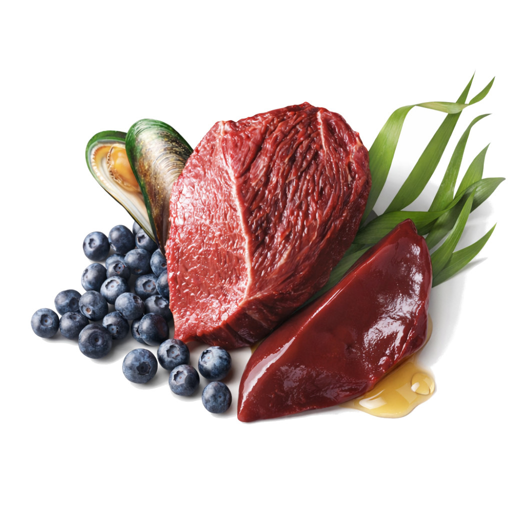 JOHN DOG Berry line Beef with blueberries - Nassfutter für Hunde - 800g - foto 2